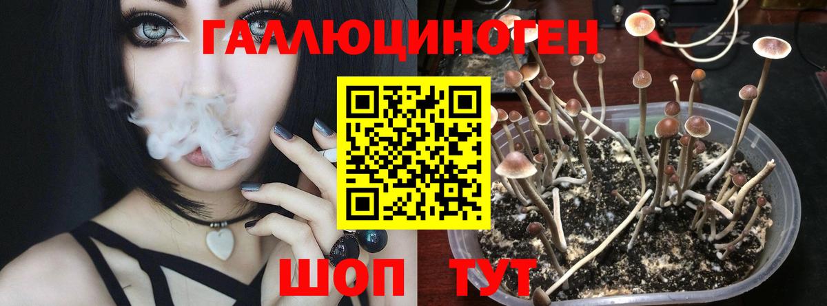 купить наркотики цена  Вход с VPN  Пенза  Псилоцибиновые грибы MAGIC MUSHROOMS  Галлюциногенные грибы Magic Shrooms 